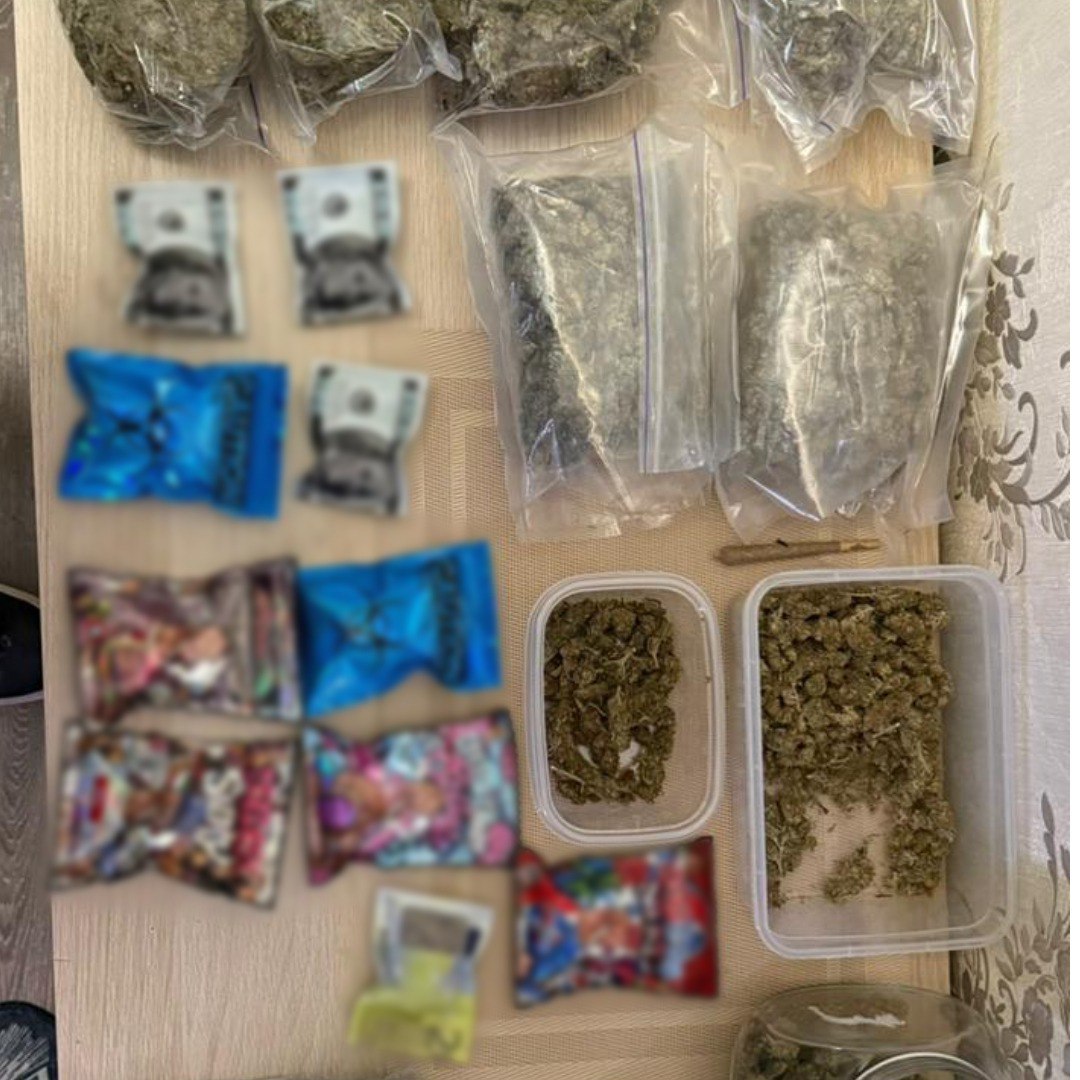 У Харкові викрито групу осіб, яка вирощувала та продавала елітну коноплю